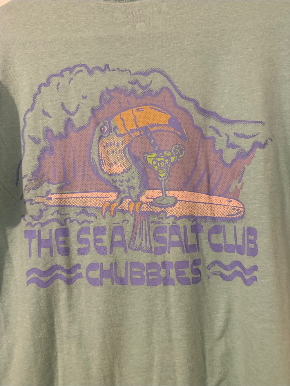 chubbies Sage Green Toucan Graphic Short Sleeve Tee